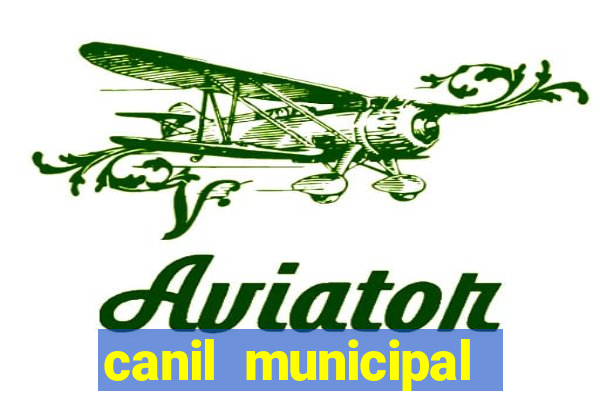 canil municipal porto alegre